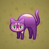 Scared Cat #4937 Scared Cat #4937