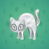 Scared Cat #4955