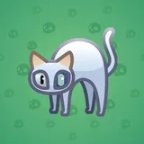 Scared Cat #496 Scared Cat #496