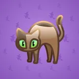 Scared Cat #5033 Scared Cat #5033