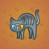 Scared Cat #5054 Scared Cat #5054