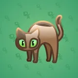 Scared Cat #5302 Scared Cat #5302