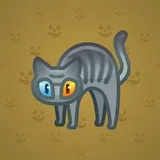 Scared Cat #5344 Scared Cat #5344