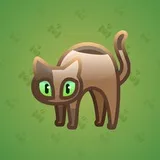 Scared Cat #5370 Scared Cat #5370