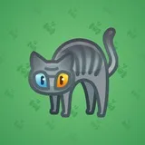 Scared Cat #5636 Scared Cat #5636