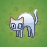Scared Cat #5653 Scared Cat #5653