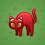 Scared Cat #5707 Scared Cat #5707