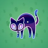 Scared Cat #585 Scared Cat #585