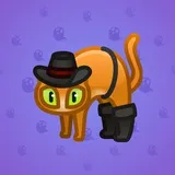 Scared Cat #6025 Scared Cat #6025