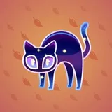 Scared Cat #6137 Scared Cat #6137