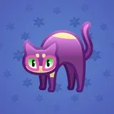 Scared Cat #6153 Scared Cat #6153