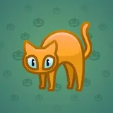 Scared Cat #6214 Scared Cat #6214