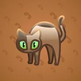 Scared Cat #6231 Scared Cat #6231