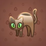 Scared Cat #6278 Scared Cat #6278