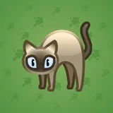 Scared Cat #6316
