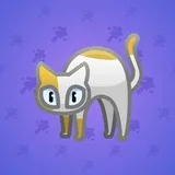 Scared Cat #6504 Scared Cat #6504