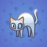 Scared Cat #6728