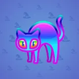 Scared Cat #6777 Scared Cat #6777