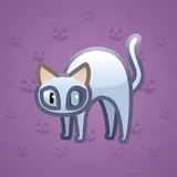 Scared Cat #6789 Scared Cat #6789
