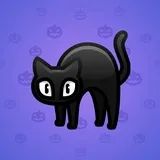 Scared Cat #7163 Scared Cat #7163