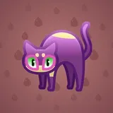 Scared Cat #7164 Scared Cat #7164