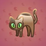 Scared Cat #7259 Scared Cat #7259