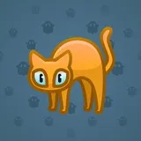 Scared Cat #7337 Scared Cat #7337