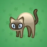 Scared Cat #7548 Scared Cat #7548