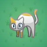 Scared Cat #7775 Scared Cat #7775
