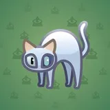 Scared Cat #7889 Scared Cat #7889