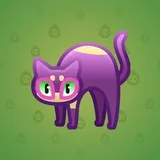 Scared Cat #7981 Scared Cat #7981