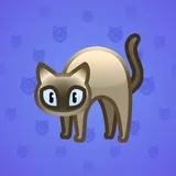 Scared Cat #8027 Scared Cat #8027