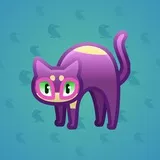 Scared Cat #8055 Scared Cat #8055