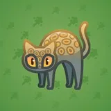Scared Cat #8144 Scared Cat #8144