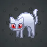 Scared Cat #8556 Scared Cat #8556
