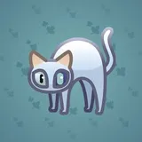 Scared Cat #856 Scared Cat #856