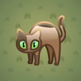 Scared Cat #8599 Scared Cat #8599