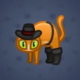Scared Cat #8646 Scared Cat #8646