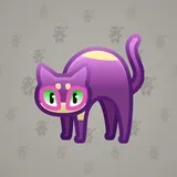Scared Cat #8663 Scared Cat #8663