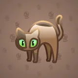 Scared Cat #8765 Scared Cat #8765