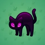 Scared Cat #8837 Scared Cat #8837