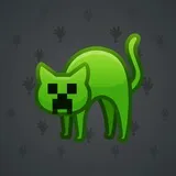 Scared Cat #8880 Scared Cat #8880
