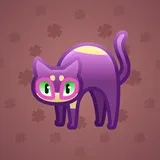 Scared Cat #889 Scared Cat #889