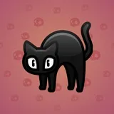 Scared Cat #8921 Scared Cat #8921