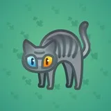 Scared Cat #9110