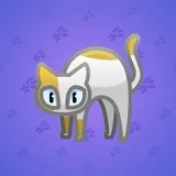 Scared Cat #9156 Scared Cat #9156