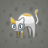 Scared Cat #927 Scared Cat #927