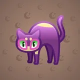 Scared Cat #9344 Scared Cat #9344