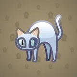 Scared Cat #9429 Scared Cat #9429