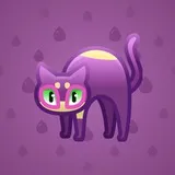 Scared Cat #9617 Scared Cat #9617